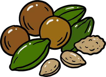 Colleen Dieter&rsquo;s Tiny Talks icon: seeds and nuts