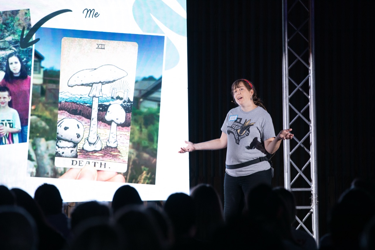 Tangled in the Wood Wide Web — Tiny Talk by Angel Schatz